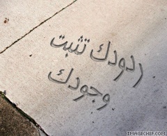 rododek tatbot wojodek